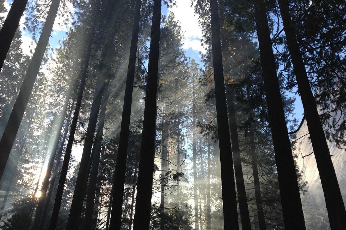 Pazaryeri Geliştirme